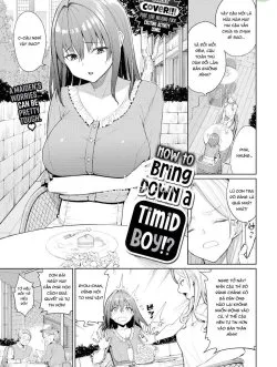 How To Bring Down A Timid Boy - Bìa truyện