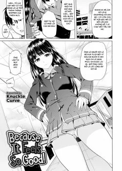 Bìa truyện Because It Feels So Good