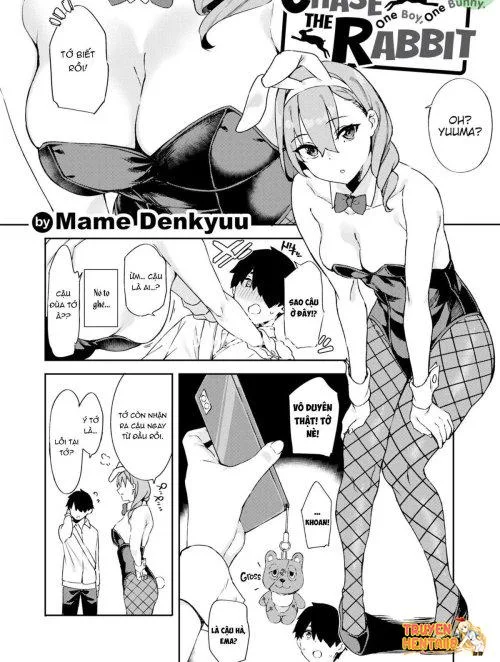 Chase The Rabbit - Bìa truyện