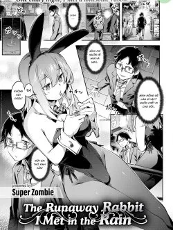 Bìa truyện Cô Thỏ Tôi Gặp Trong Cơn Mưa