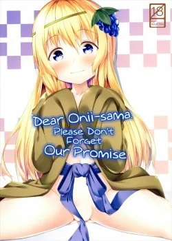 Bìa truyện Dear Onii-Sama. Please Don’t Forget Our Promise