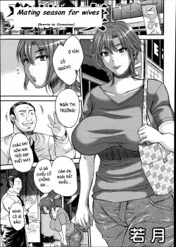 Hatsujouki Tsuma - Bìa truyện