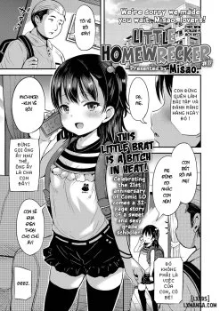 Bìa truyện Kateinai Puchi Furin Zenpen