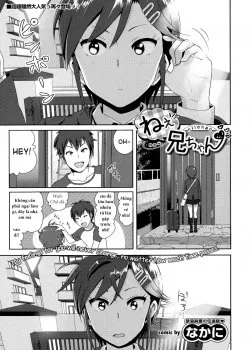 Ne~ Niichan - Bìa truyện