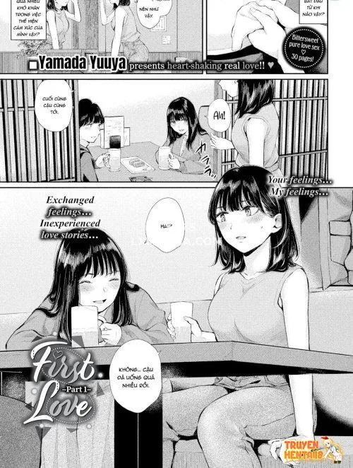 Bìa truyện Nét Đẹp Tình Đầu