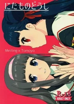 Bìa truyện Nitamono Doushi