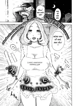 Bìa truyện Shiny Things