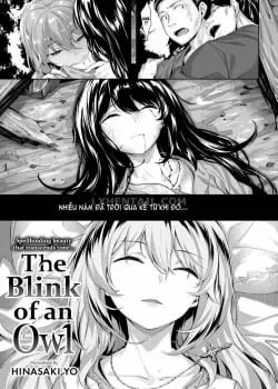 The Blink Of An Owl - Bìa truyện