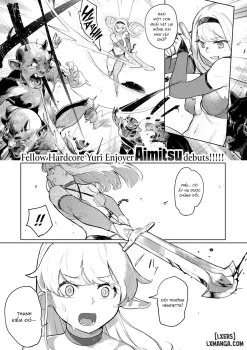 Bìa truyện The Sword And The Beast