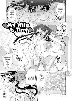 Vợ Tôi Là Bé Loli Nhỏ Xíu - Bìa truyện