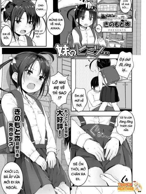 Bí Mật Của Em Gái - Bìa truyện