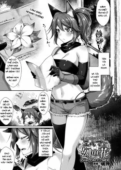 Bìa truyện Elma And The Phantom Flower